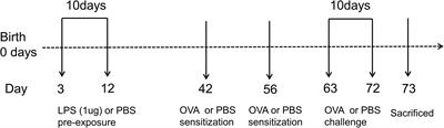 Low-Dose LPS Induces Tolerogenic Treg Skewing in Asthma